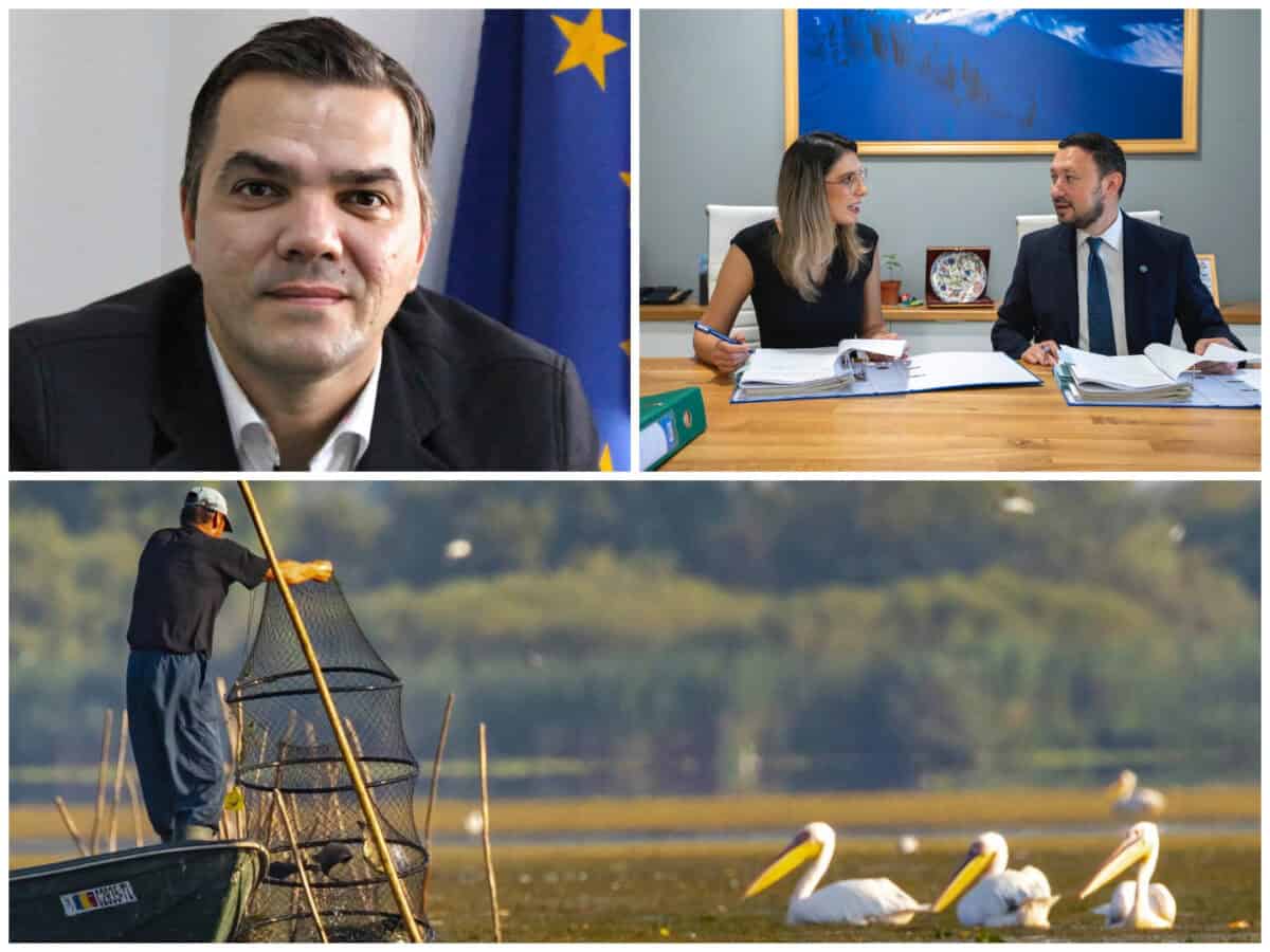 colaj delta buzoianu fechet bulete