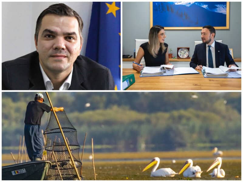 colaj delta buzoianu fechet bulete