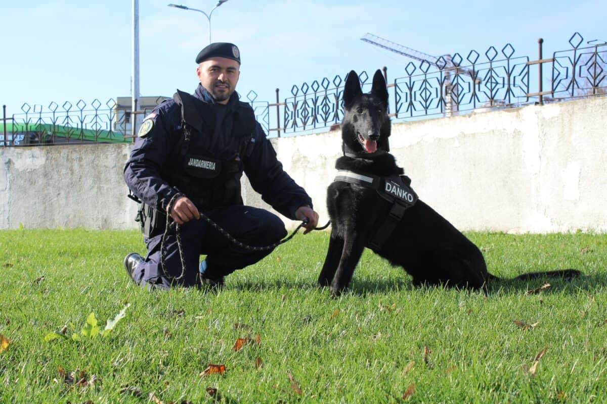 danco si instructorul sau