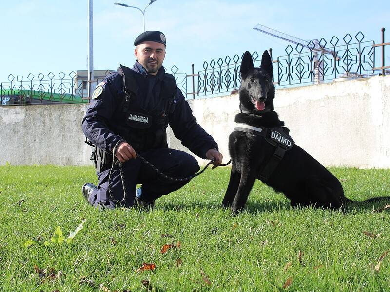 danco si instructorul sau