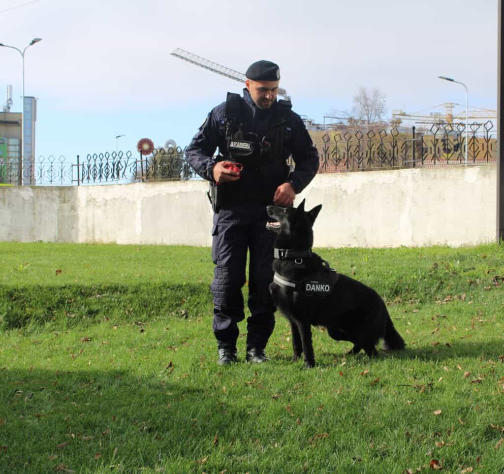 danko caine de serviciu