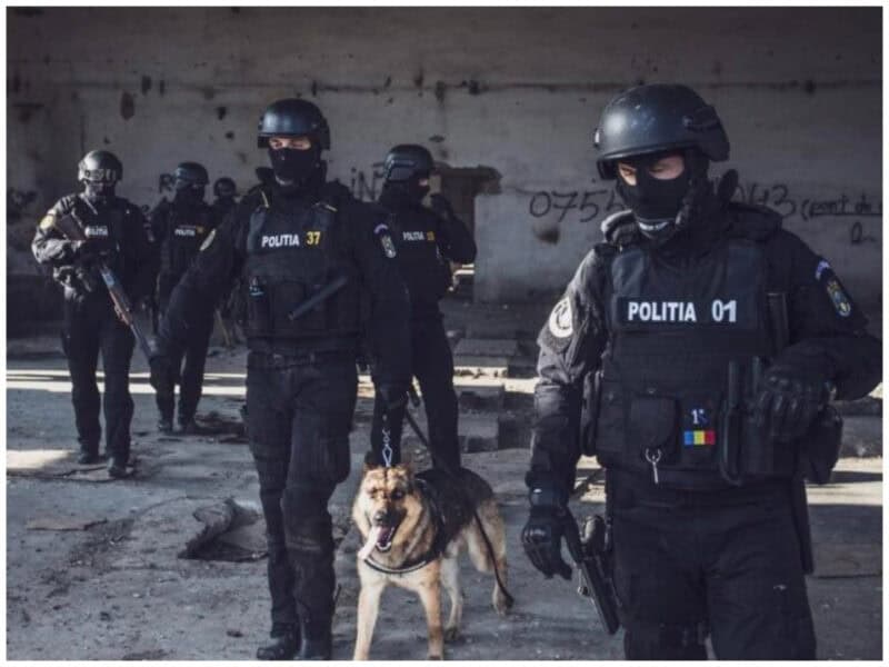 photo collage.png 12 4