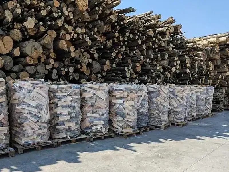 Românii ar putea plăti mai puțin pentru lemnul de foc dacă proiectul de lege va fi aprobat