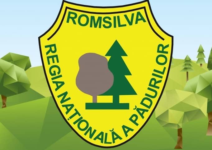 romsilva 1