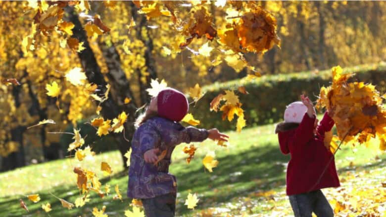 Vreme blândă și puține precipitații în luna noiembrie 2025