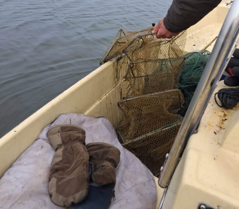 arbdd plase monofilament