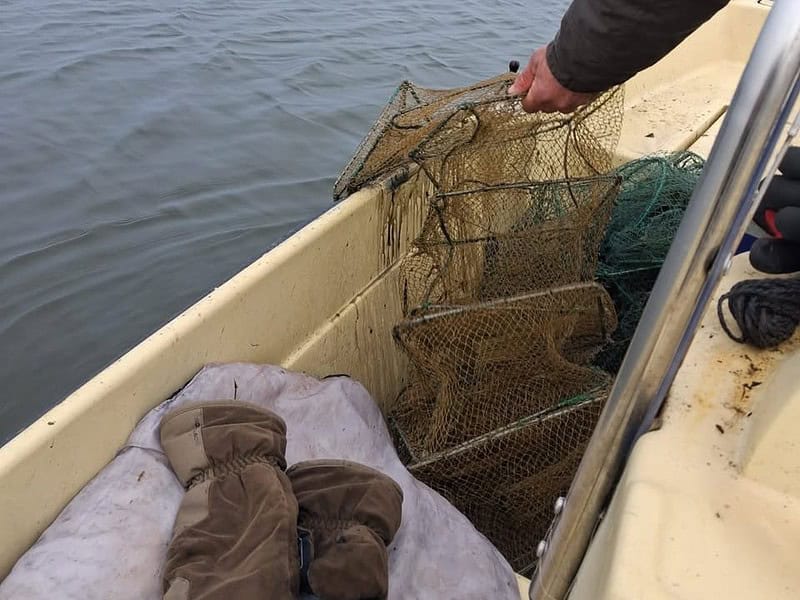 arbdd plase monofilament