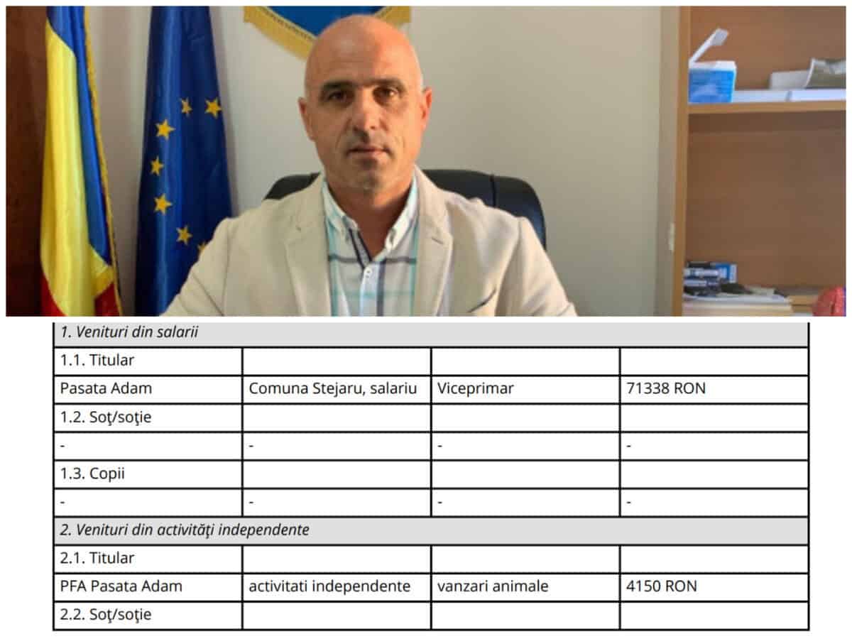 colaj pasata declaratie