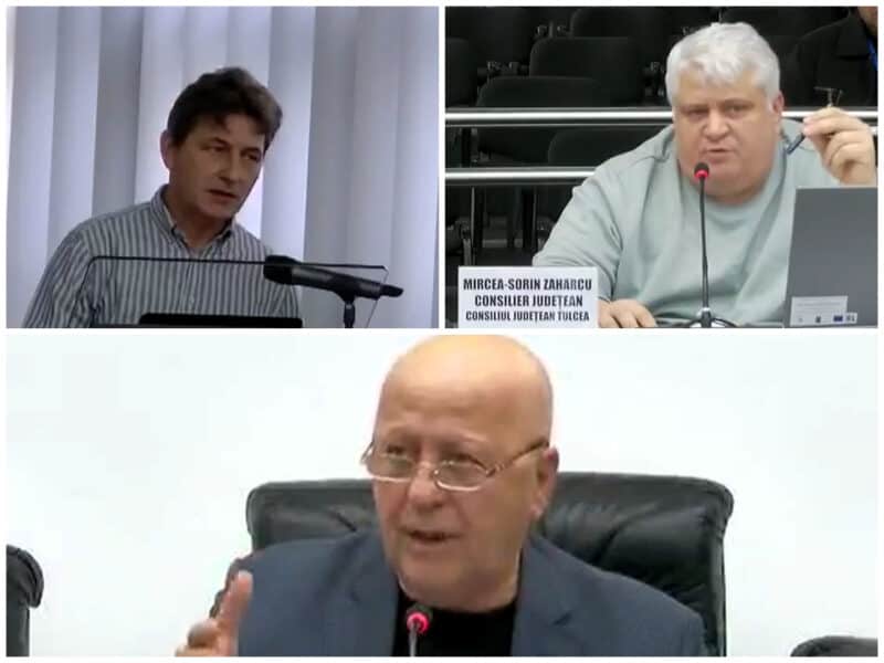 colaj teo ifrim zaharcu