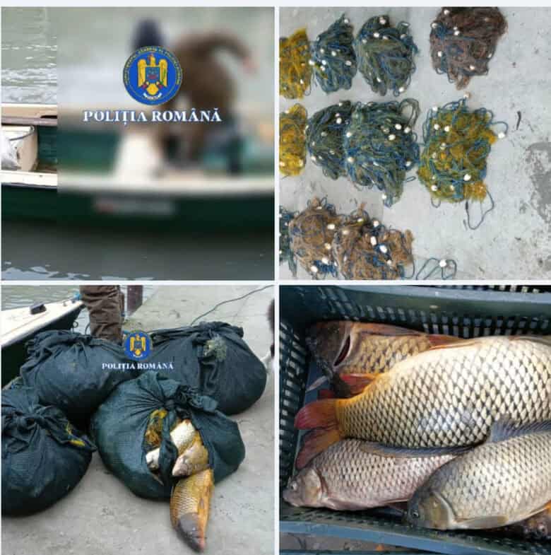 politia deltei captura