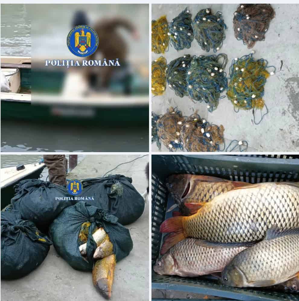 Descindere dură în Delta Dunării: zeci de plase ilegale, aproape o jumătate de tonă de pește confiscată și bărci scoase din joc