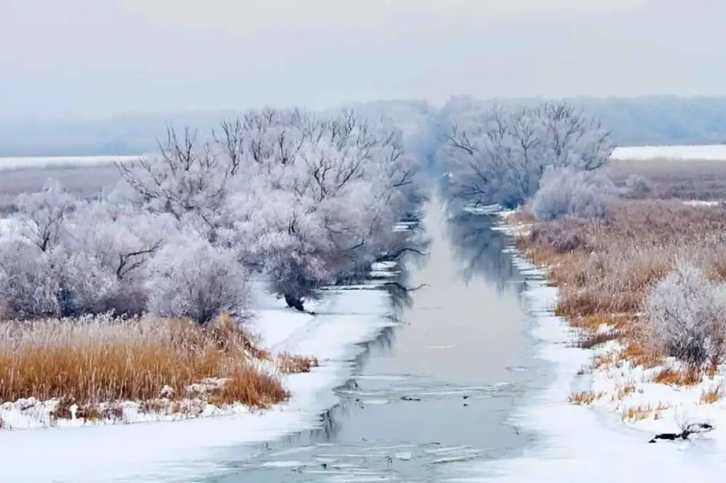 revelion 2026 delta dunarii