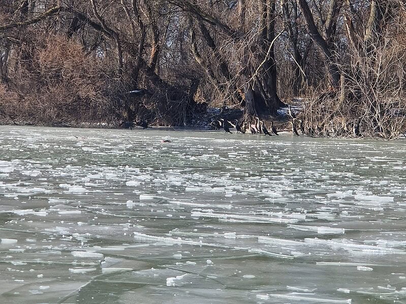 616823910 1291500169675934 2124666079000378465 n 1