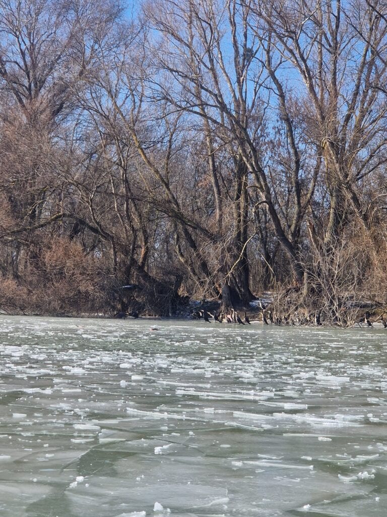 616823910 1291500169675934 2124666079000378465 n