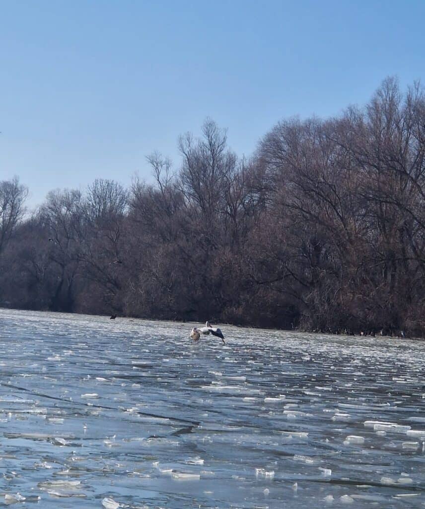 618355706 1291500123009272 1389433167100780540 n