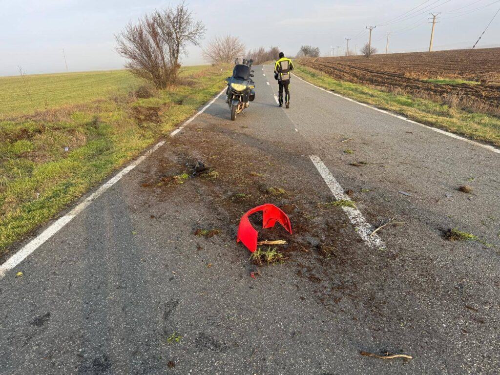 WhatsApp Image 2026 01 09 at 09.44.48