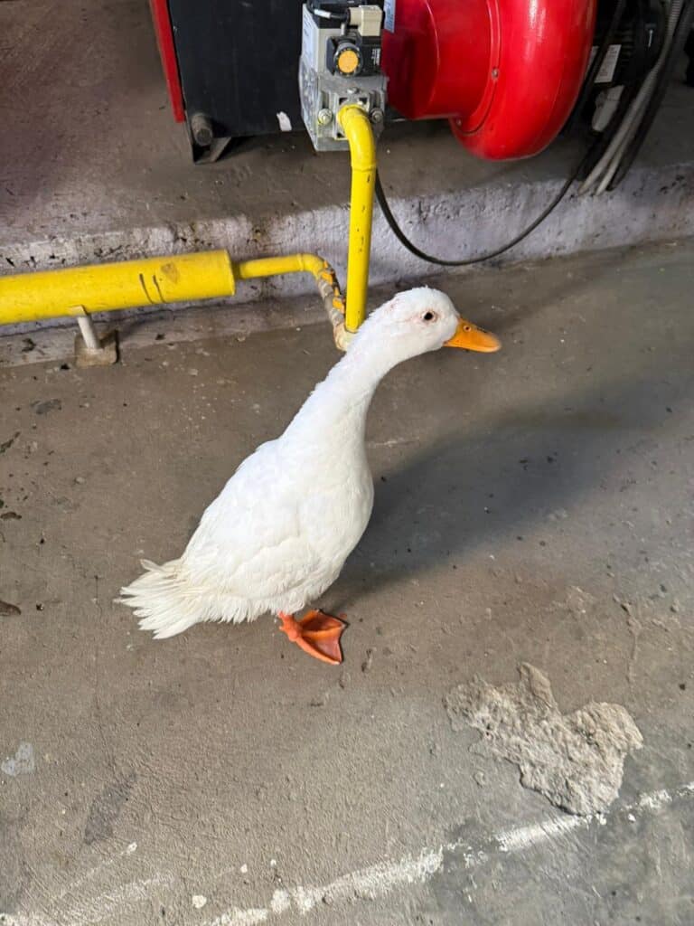 WhatsApp Image 2026 01 14 at 15.04.08 WhatsApp Image 2026 01 14 at 15.04.08