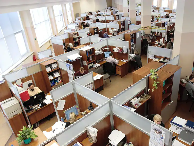 Reges Online devine registrul oficial pentru evidența salariaților din România