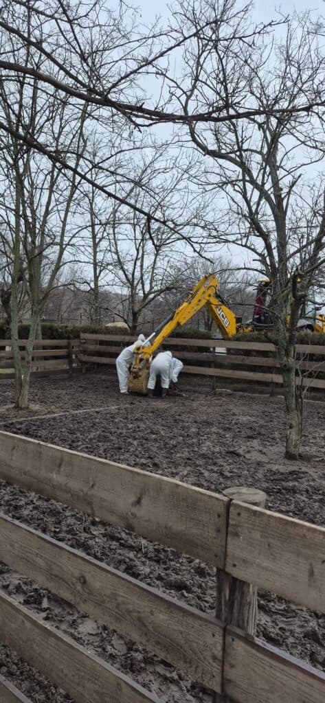 627493994 122121802977057062 6640382839304751857 n