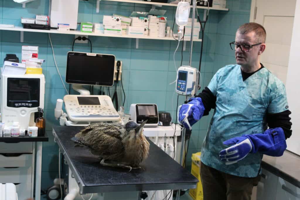 627693429 1304685618357389 1782180196328553319 n