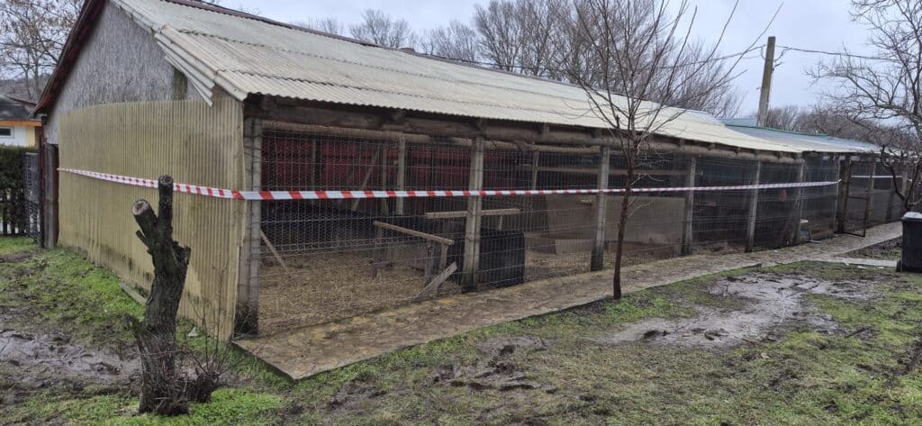 628419669 122121802989057062 128708765573443544 n