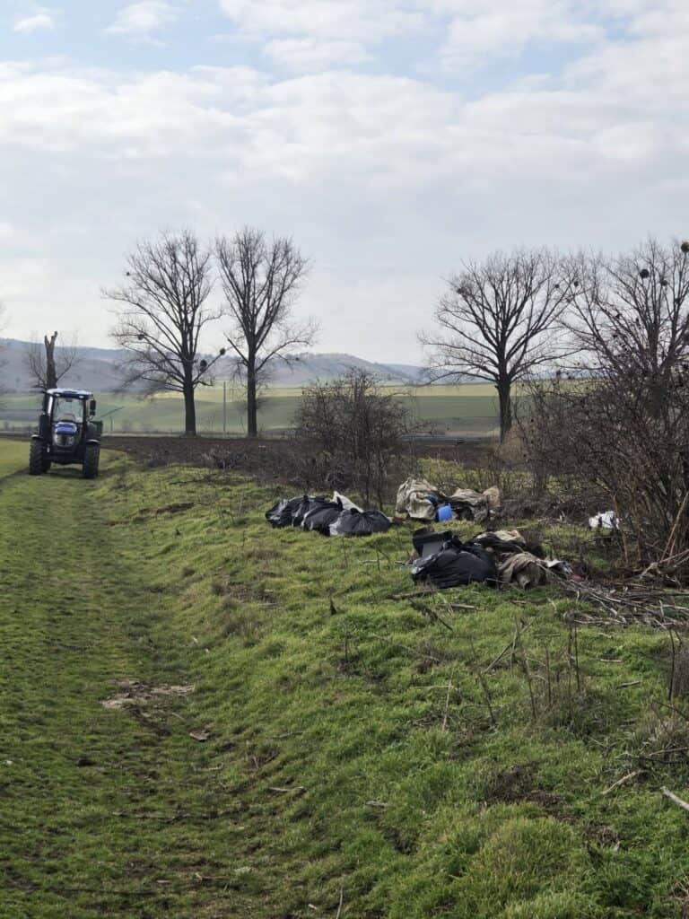 631744643 1331925365639352 8662083953877207309 n