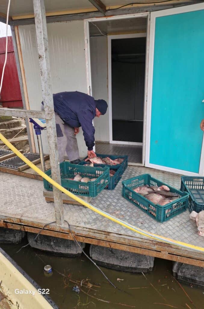 633341369 1311796280979656 5914492089822024224 n