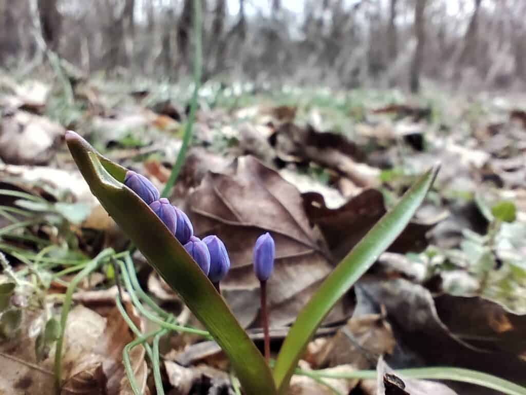 633464729 4591125227879288 2405702394063705644 n 633464729 4591125227879288 2405702394063705644 n