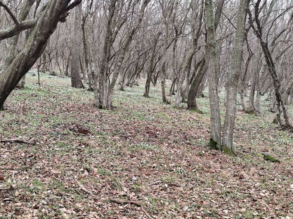 634172578 4591125677879243 2081620465620647956 n