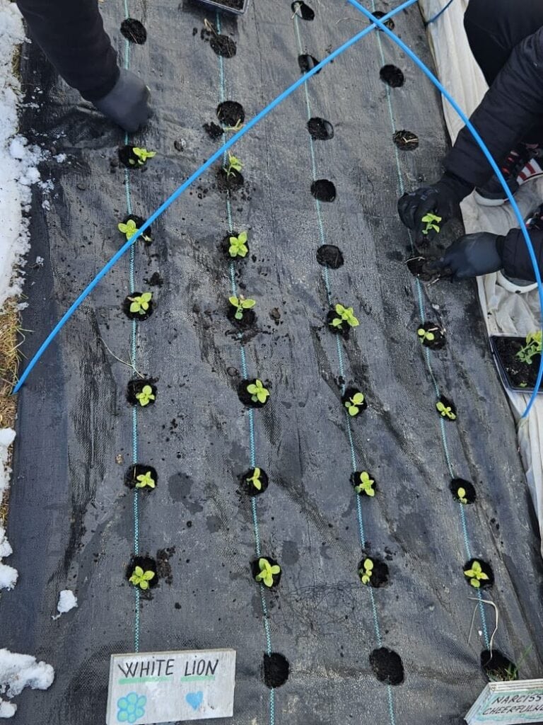 641968824 17957097477062336 2524998248214394465 n