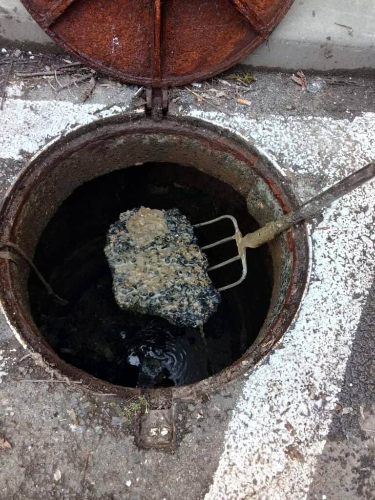 643753425 1445610380690640 4131204725763471849 n