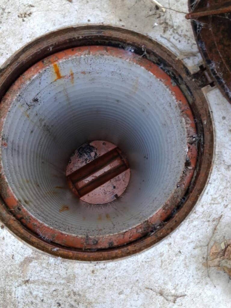 643961319 1445610490690629 5048111785365863436 n