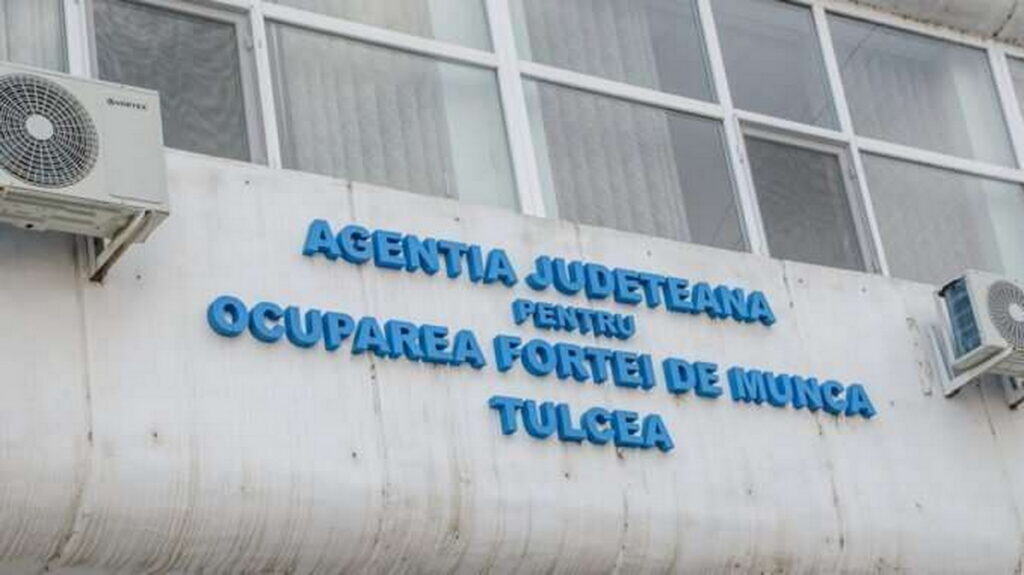 250 de locuri de muncă în Europa pentru tulceni. Unde sunt cele mai multe posturi și ce meserii se caută