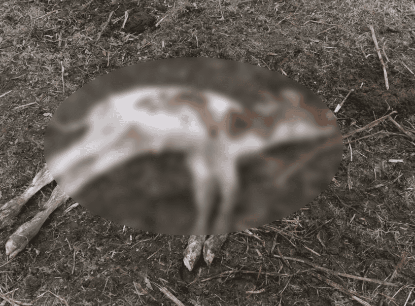 Captura de ecran 2026 02 13 162824 Captura de ecran 2026 02 13 162824