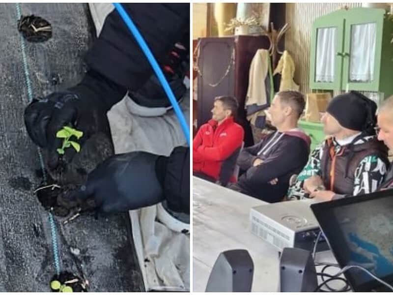 Au ieșit din penitenciar ca să facă ordine în natură: 10 deținuți din Tulcea, la ecologizare în Malcoci / foto