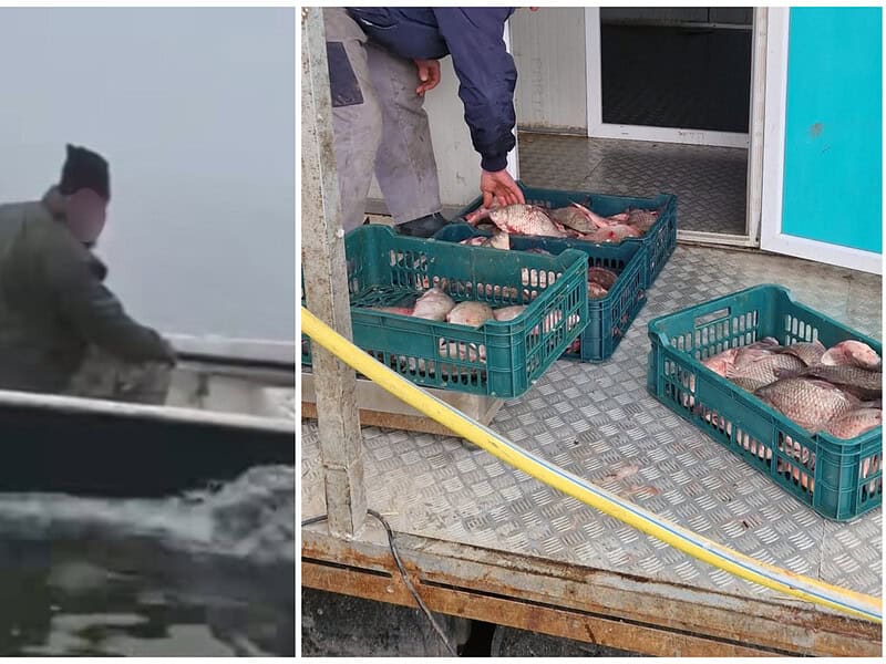 „OPREȘTE BARCA!” Vânătoare de braconieri în Delta Dunării. Amenzi și confiscări pe bandă rulantă / video-foto