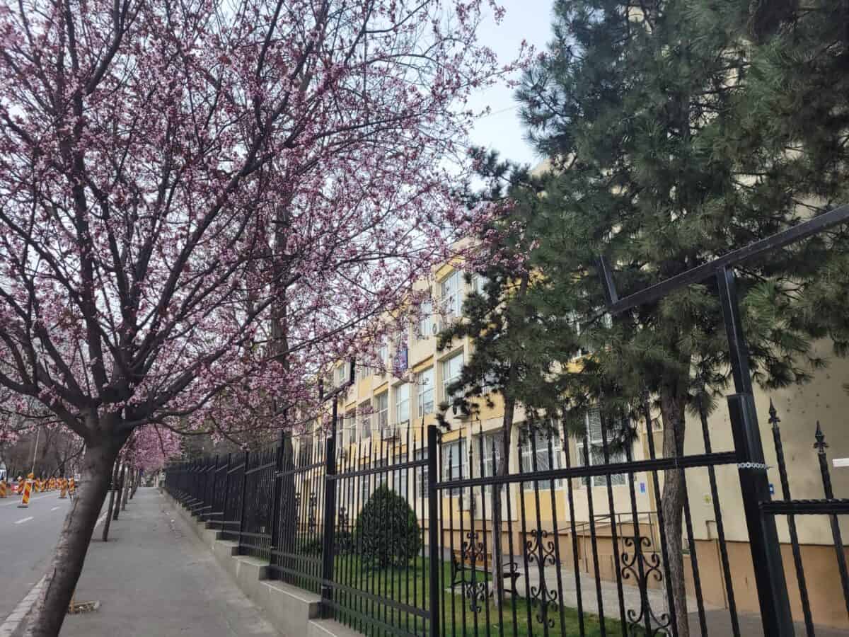 Mini-târg de carte pentru copii la Tulcea. Reduceri și ateliere de lectură la Școala Gimnazială „Elena Doamna”