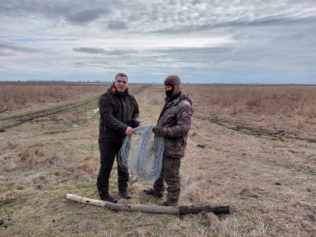 Măsură de urgență pentru caii sălbatici din Deltă: garduri electrice instalate pe grindul Dranov / foto-video