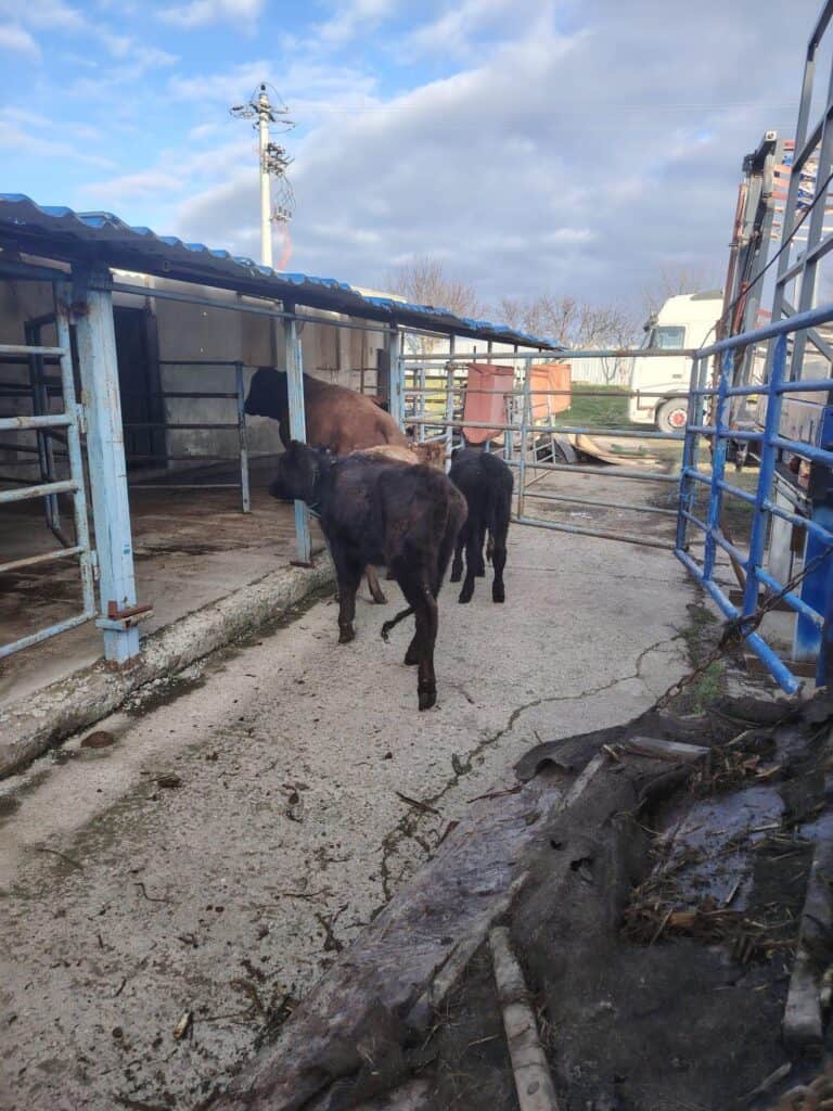 WhatsApp Image 2026 02 11 at 17.04.03