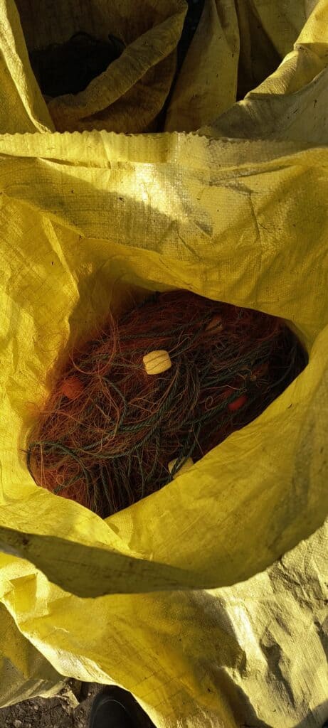 WhatsApp Image 2026 02 12 at 15.02.14