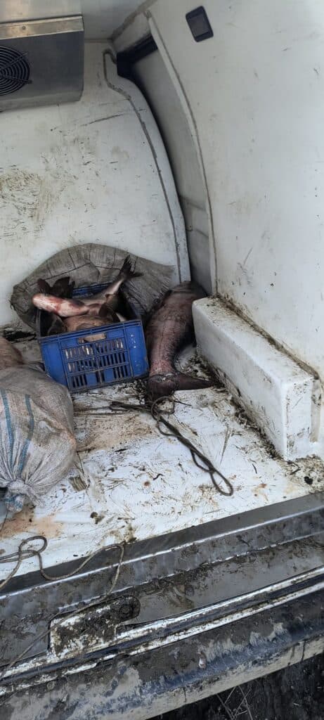 WhatsApp Image 2026 02 12 at 15.02.15 1