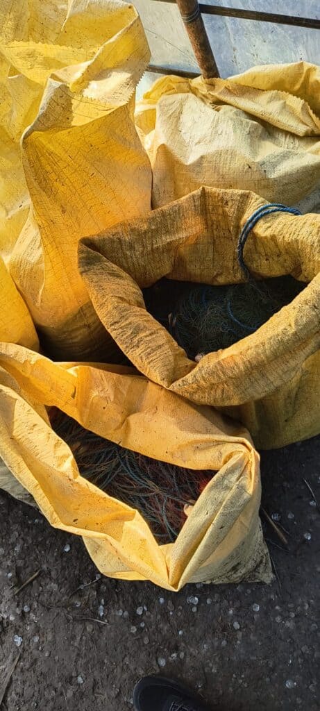 WhatsApp Image 2026 02 12 at 15.02.15