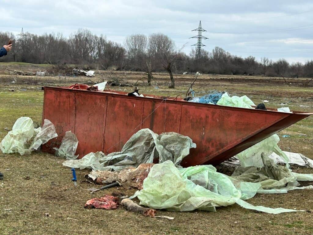 WhatsApp Image 2026 02 13 at 16.26.11 WhatsApp Image 2026 02 13 at 16.26.11