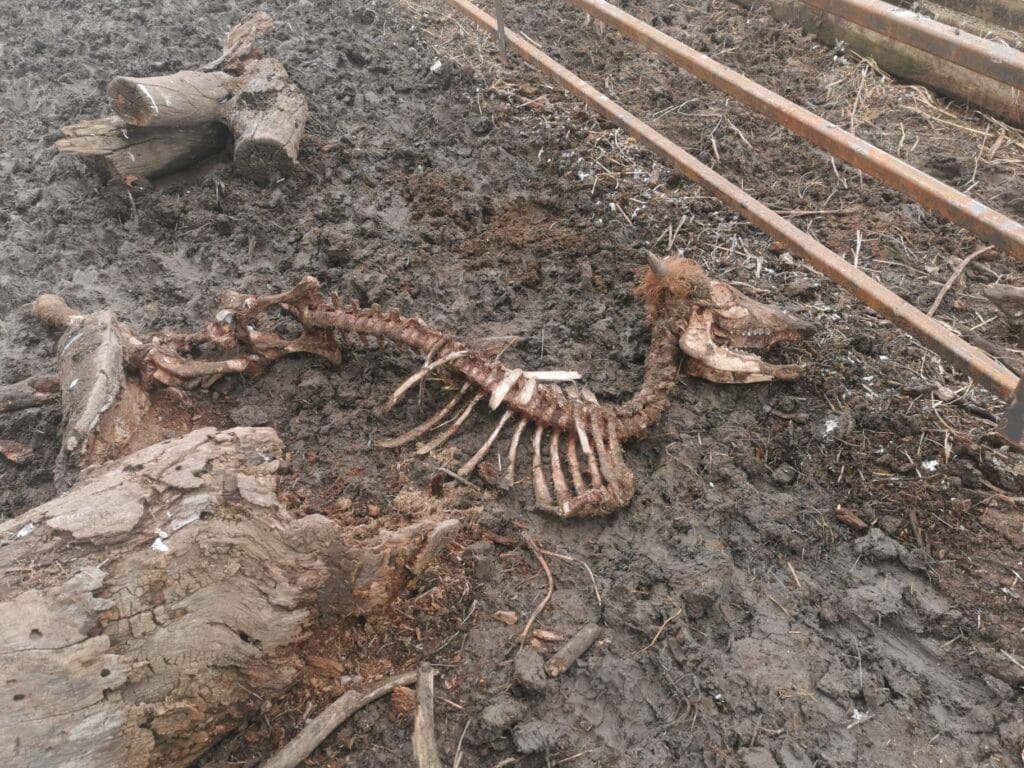 WhatsApp Image 2026 02 15 at 13.52.07