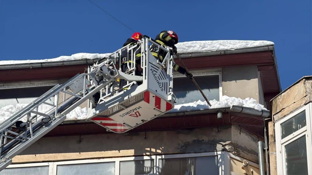 WhatsApp Image 2026 02 19 at 14.14.16 1