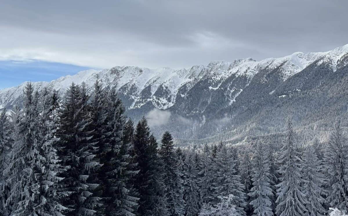 Avertizare cod galben de viscol și ninsori pentru aproape jumătate din România