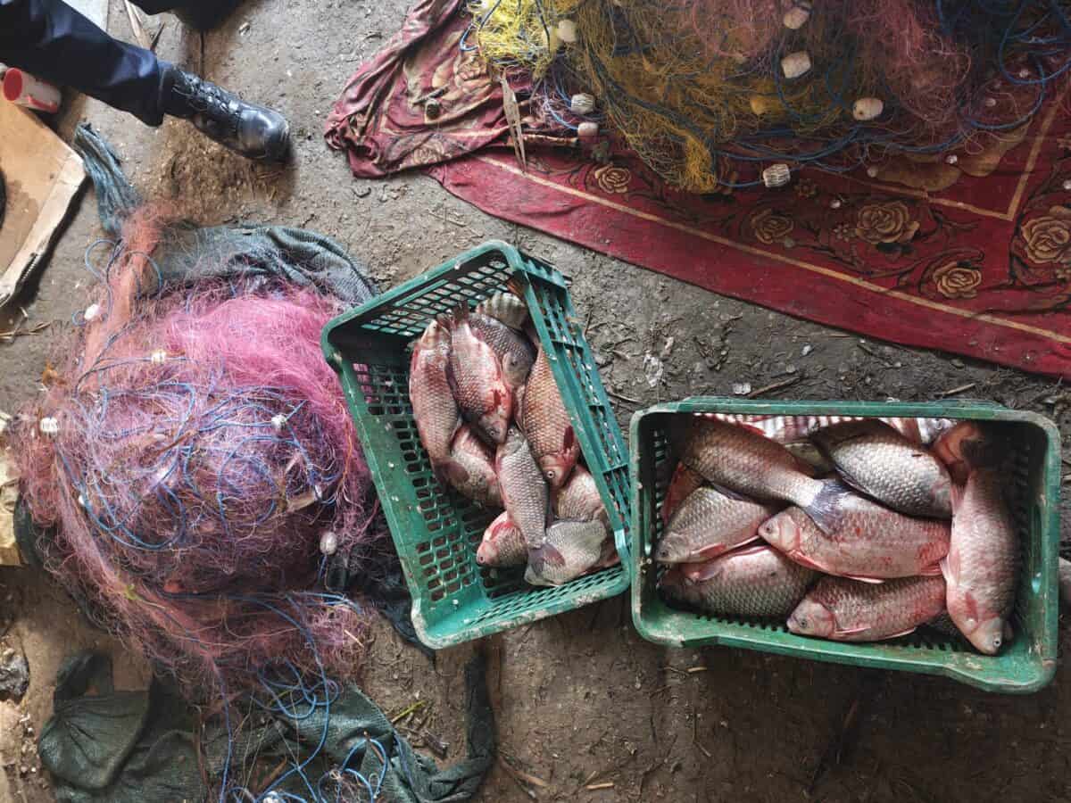 Au crezut că scapă: aproape 600 kg de pește, 145 de păsări moarte și plase de 4 kilometri, descoperite la braconieri în Delta Dunării / foto