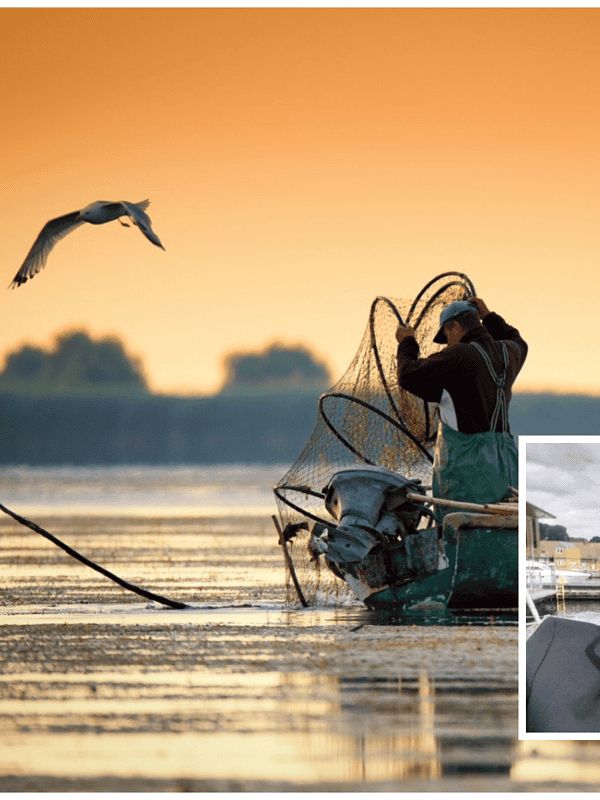 Războiul din Ucraina ajunge în Deltă: pescarii de pe Chilia riscă să piardă jumătate din cota de pescuit