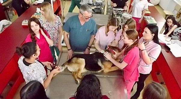 cucu scoala operatie