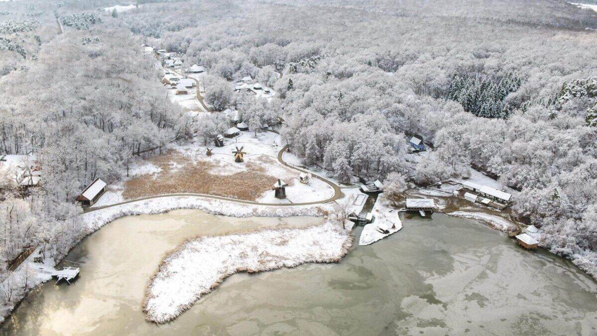 Cultură protejată de măsurile de reducere a cheltuielilor anunțate de Guvern